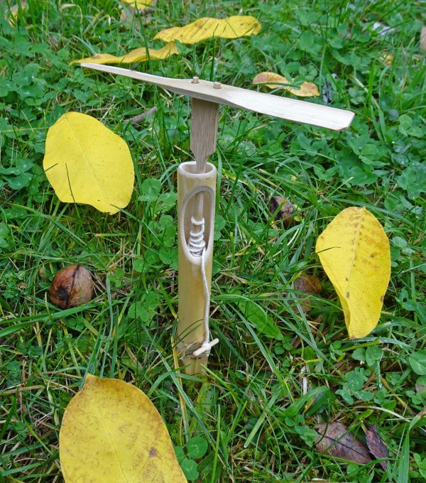 Die Super-Libelle steht startbereit auf einer Wiese.