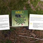 Raus! in deinen Wunderwald