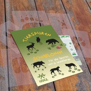 Die Schachtel Tierspuren liegt mit den durchsichtigen Schablonen auf einem Holzboden.