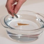 Ein Magnet zieht eine auf dem Wasser schwimmende Nadel an. Ein Versuch aus dem Experimentierkasten Der kleine Magnetkasten