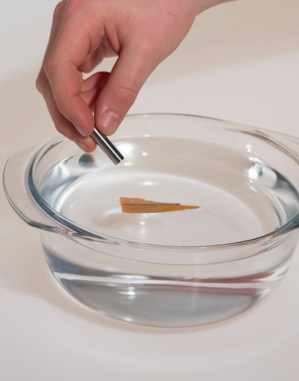 Ein Magnet zieht eine auf dem Wasser schwimmende Nadel an. Ein Versuch aus dem Experimentierkasten Der kleine Magnetkasten