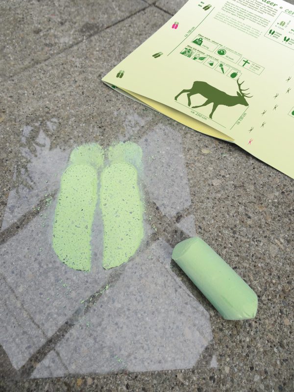 Folien aus dem Experimentierkasten Tierspuren